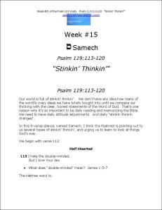 Click here to view or download Psalm 119:113-120 "Stinkin' Thinkin'"