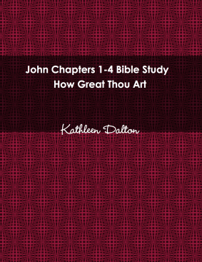 John 1-4 front cover