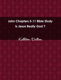 John 5-11 icon cover page